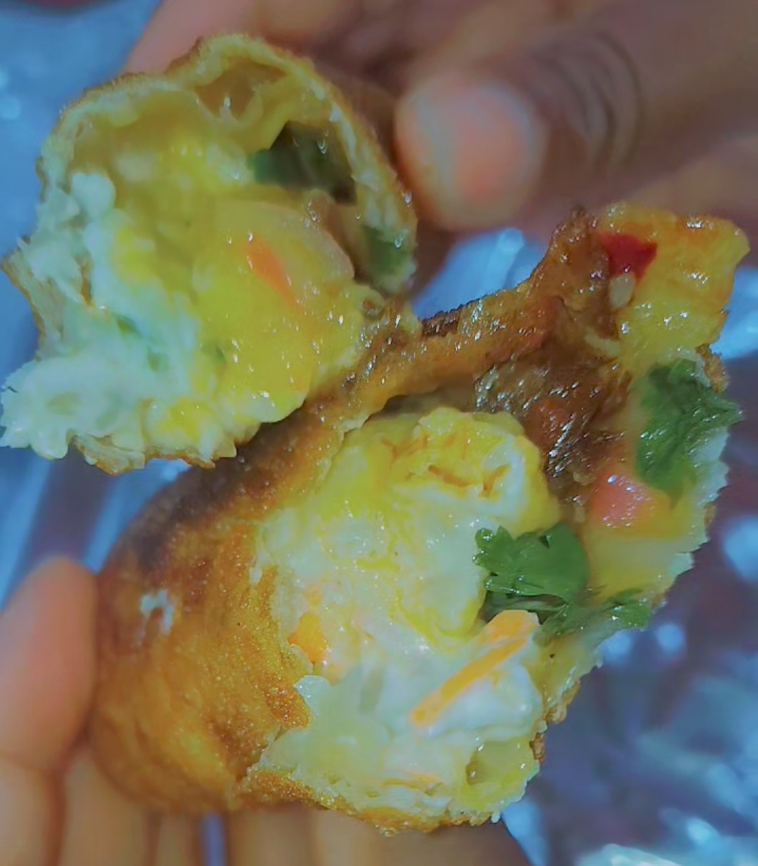 2 BIRRIA RANGOON EGG ROLLS