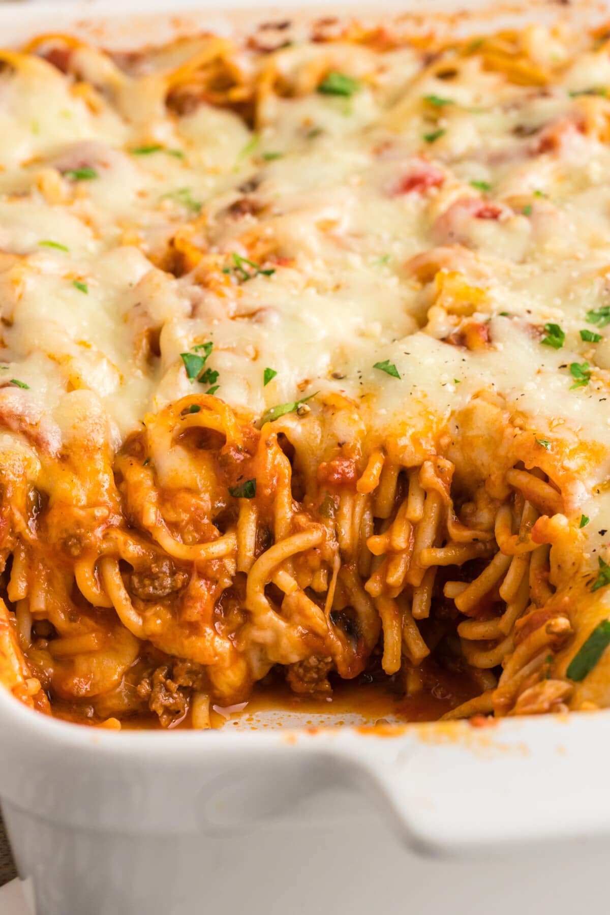 3 MEAT 3 CHEESE BAKED SPAGHETTI & FISH COMBO